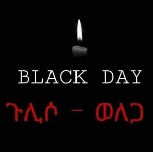 Meet your Posher, Hanna